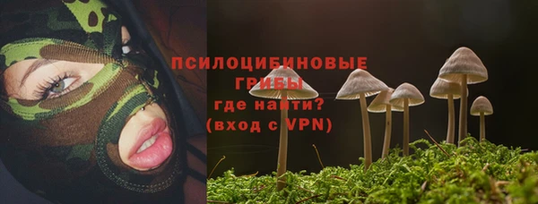 ГАЛЛЮЦИНОГЕННЫЕ ГРИБЫ Новодвинск