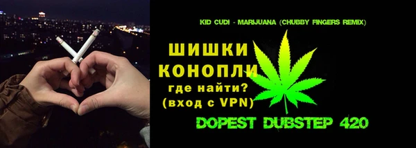 ГАЛЛЮЦИНОГЕННЫЕ ГРИБЫ Новодвинск