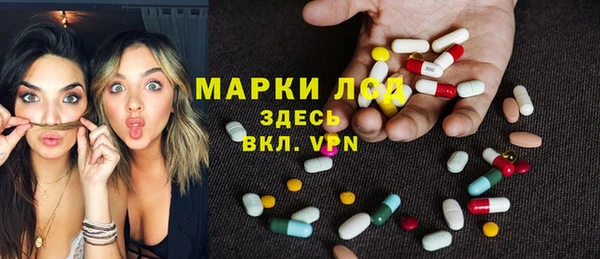 дмт Новокубанск