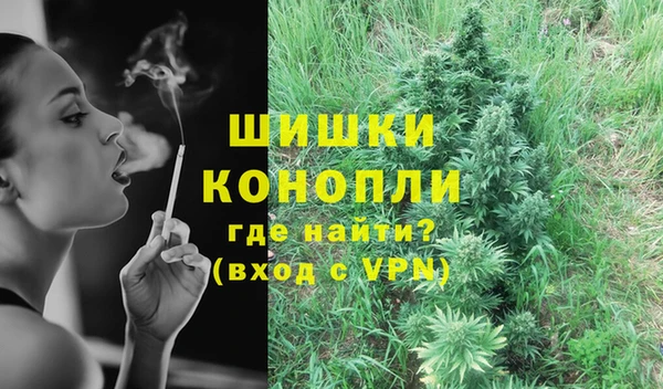 не бодяженный Новозыбков