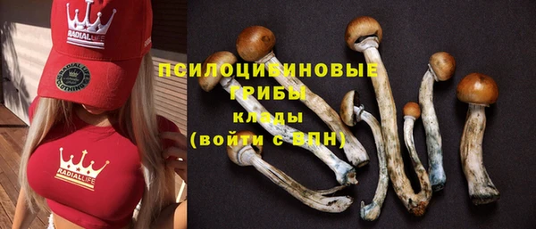 дмт Новокубанск