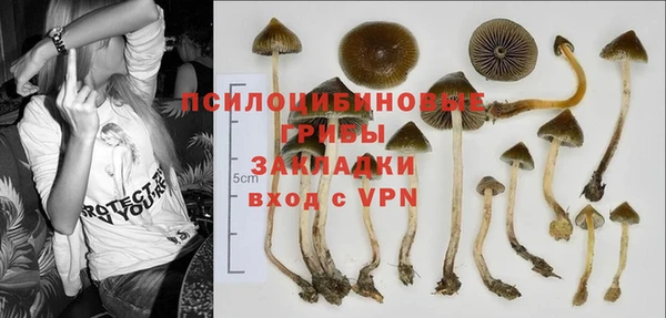 дмт Новокубанск