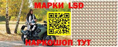 шишки Аргун