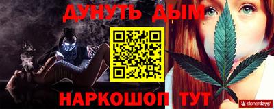 шишки Аргун