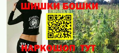 шишки Аргун