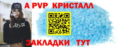 шишки Аргун