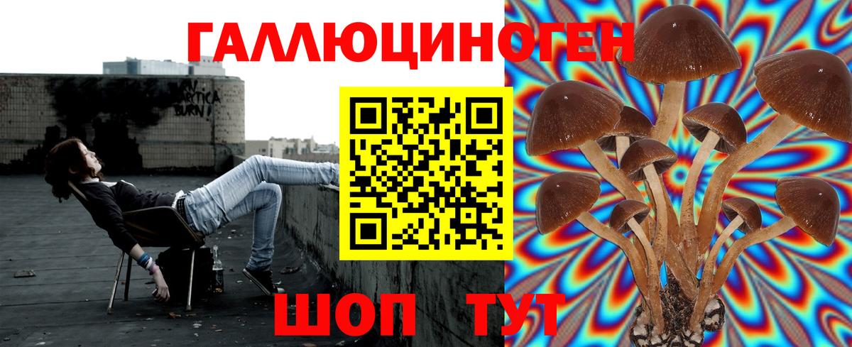 Галлюциногенные грибы мухоморы  Вход с VPN  Лосино-Петровский  Псилоцибиновые грибы Psilocybine cubensis 