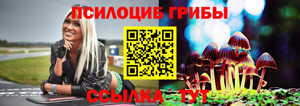 Галлюциногенные грибы GOLDEN TEACHER Лосино-Петровский