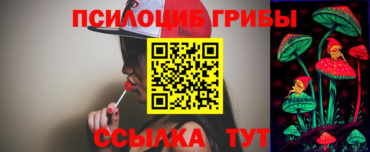 Галлюциногенные грибы GOLDEN TEACHER Лосино-Петровский